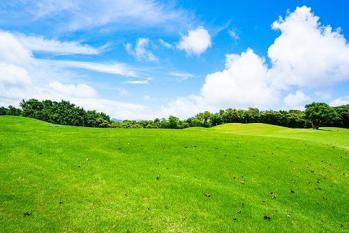 View of the green rolling landscape