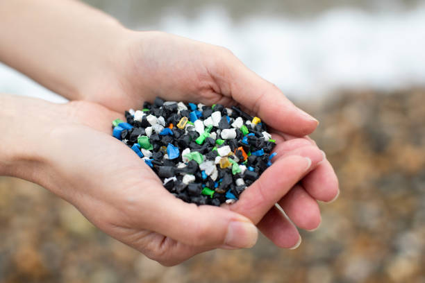 Close Up Of Hand Holding Plastic Granules Polluting Beach Close Up Of Hand Holding Plastic Granules Polluting Beach microplastic photos stock pictures, royalty-free photos & images