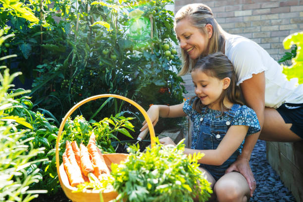 istock Mother And Daughter Digging In Raised Vegetable Beds At Home 1266984420