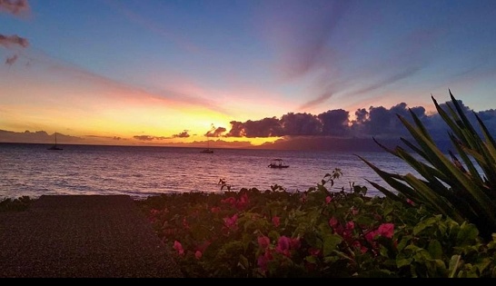 Beautiful sights seen in Maui, Hawaii