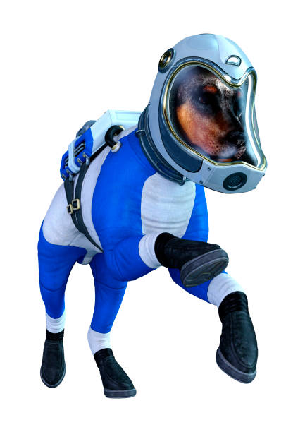 istock 3D illustration astronaut dog on white 1266987679