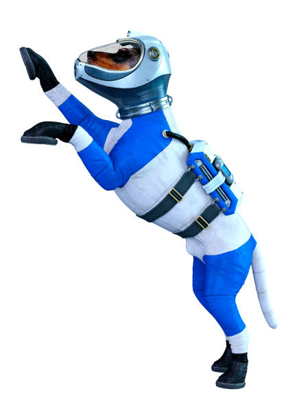 3D illustration astronaut dog on white