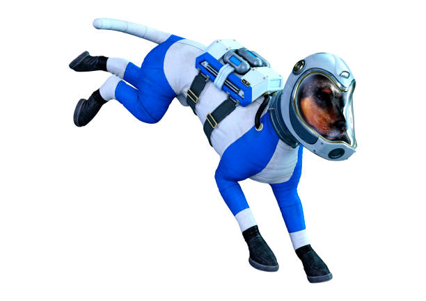istock 3D illustration astronaut dog on white 1266987733