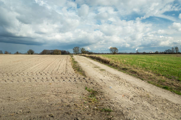 istock A dirt road, plowed field and clouds in the sky 1266992184