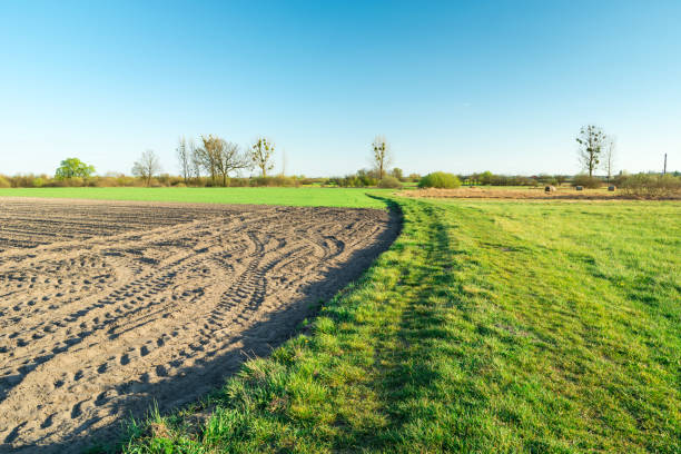 istock Ploughed field with tractor tracks, green meadow, horizon and blue sky 1266992201