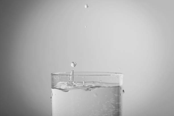 Water splash in the glass. white background