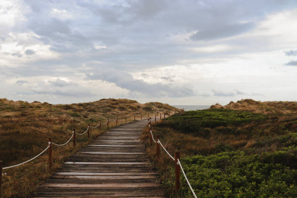 istock Wooden path leading to the beach on a cloudy day 1266999483
