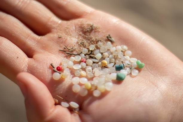 istock Little mermaid tears collected at a beach cleaning 1266999530