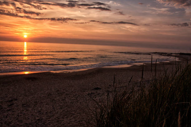 istock Sunset at Westport Beach 1267001323