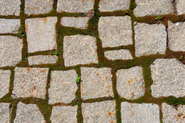 istock Sidewalk with old pavement and some moss and plants. Background image. 1267003678