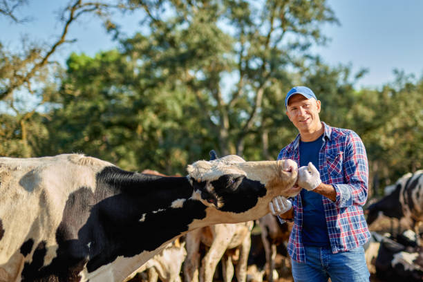 istock Male rancher in a farm. 1267007970