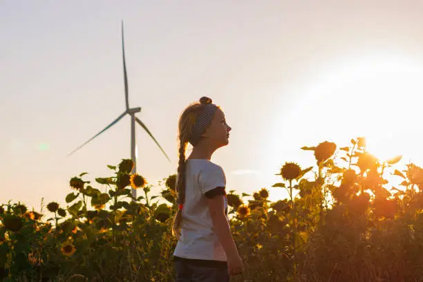 Photo of Cute girl in white t-shirt smelling sunflower in sunset field wind turbines farm on background. Child with long braid.