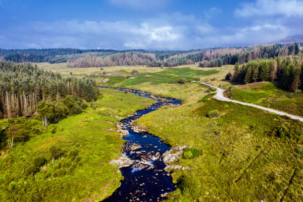 luftbildlandschaft auf einem schottischen fluss und feldweg in einem waldgebiet im osten von ayrshire, westschottland - ayrshire stock-fotos und bilder