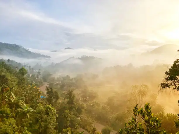 Morning, fog rising above the trees that cover the hills of Ella, Sri Lanka. Ella is a town famous for the production of Ceylon tea
