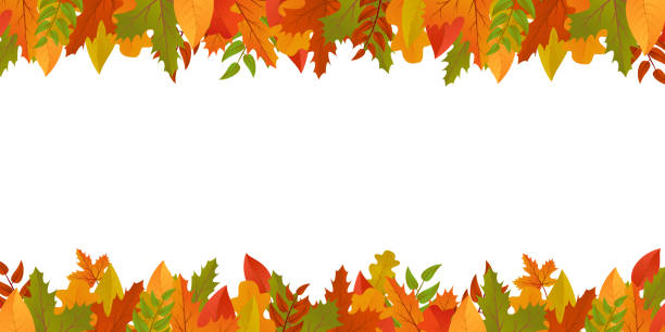 秋葉邊界秋天的背景。感恩節的葉子框架橫幅, 學校。十月花卉背景。樹葉設計明信片。向量收穫裝飾。 - fall 幅插畫檔、美工圖案、卡通及圖標