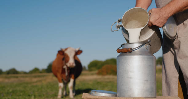 4,500+ Milk Bucket Stock Photos, Pictures & Royalty-Free Images - iStock
