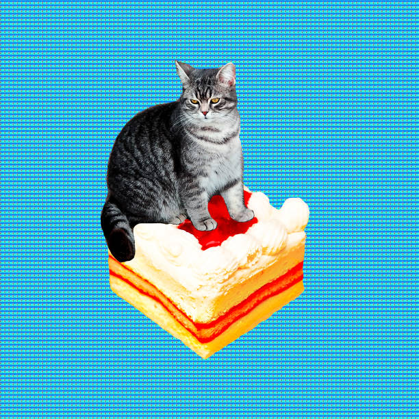 Contemporary funny art collage. Fat cat surfing on cake stock photo