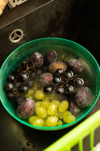 istock fruits placed in a bowl filled with water 1267016531