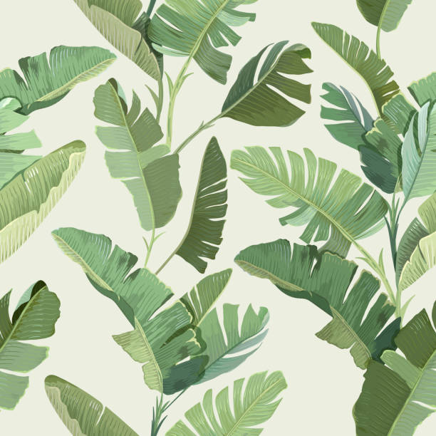 Seamless Tropical Floral Print with Exotic Green Jungle Banana Palm Leaves on Beige Background. Rainforest Wild Plants Wallpaper Template, Natural Textile Ornament, Fabric Design. Vector Illustration Seamless Tropical Floral Print with Exotic Green Jungle Banana Palm Leaves on Beige Background. Rainforest Wild Plants Wallpaper Template, Natural Textile Ornament, Fabric Design. Vector Illustration areca palm tree stock illustrations