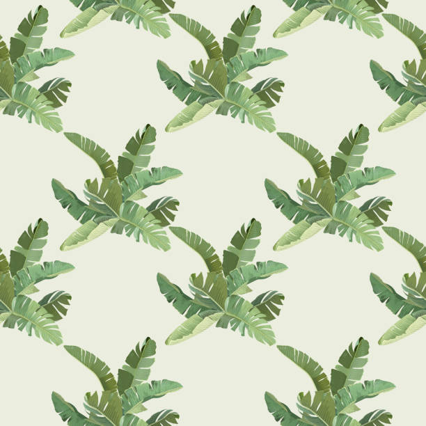 Green Banana Tropical Palm Leaves and Branches Seamless Pattern, Botanical Tropic Print on Beige Background. Paper or Textile Design, Rainforest Decorative Wallpaper Ornament. Vector Illustration Green Banana Tropical Palm Leaves and Branches Seamless Pattern, Botanical Tropic Print on Beige Background. Paper or Textile Design, Rainforest Decorative Wallpaper Ornament. Vector Illustration areca palm tree stock illustrations