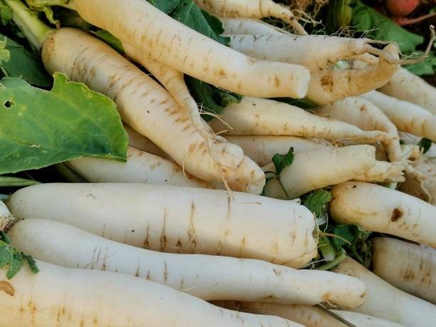 istock Vegetable and fruit market in Saudi Arabia, Medina 1267022380