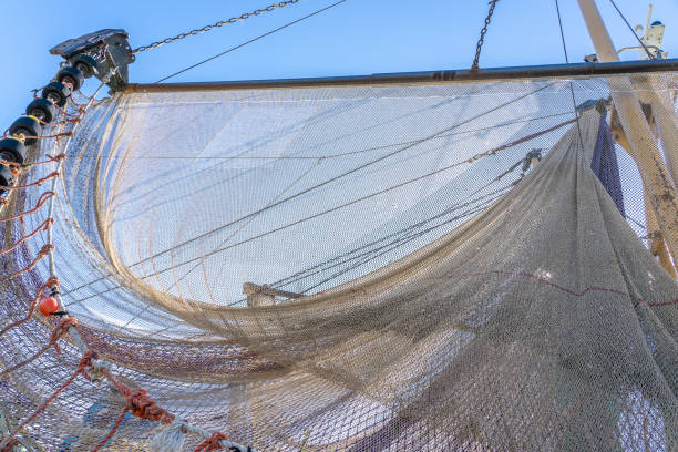 istock Fishing nets drying in the sun 1267023298