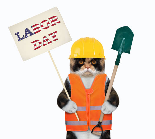 istock Cat with shovel holds sign 2 1267024870