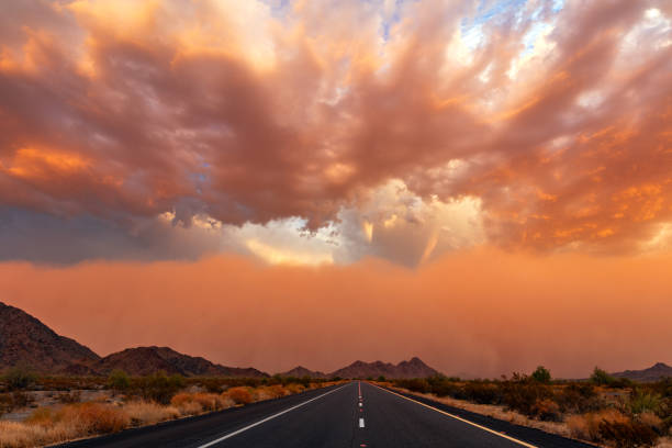 Haboob dust storm in the Arizona desert. Haboob dust storm at sunset in the desert southwest of Phoenix, Arizona. dust storm stock pictures, royalty-free photos & images