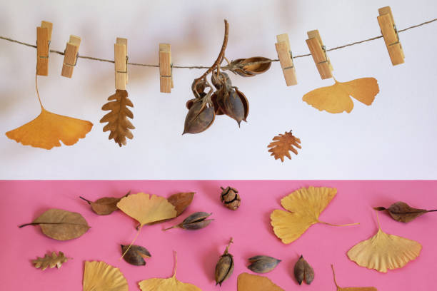 istock Autumn concept. Dry autumn leaves 1267027767