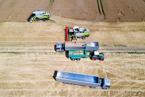 Aerial view of two combine harvesters, truck and tractor with a trailer at the harvest.