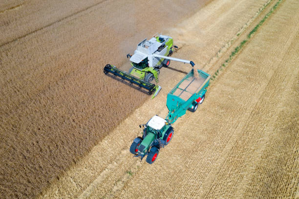 istock Combine harvester and tractor with trailer, aerial 1267031439
