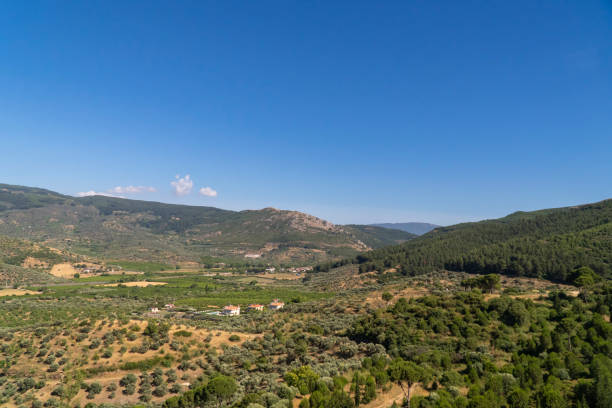istock Rural Landscape Ephesus Turkey 1267036939