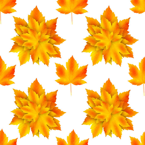 istock Seamless autumn pattern. Fallen leaves on white background, isolated 1267037251