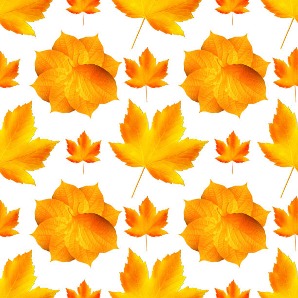 istock Seamless autumn pattern. Fallen leaves on white background, isolated 1267037269