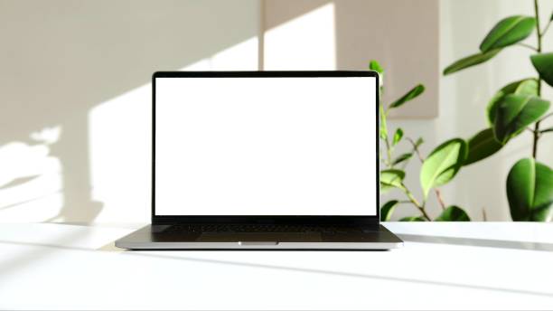 foto eines laptops auf einem weißen schreibtisch mit grüner pflanze - computerbildschirm stock-fotos und bilder