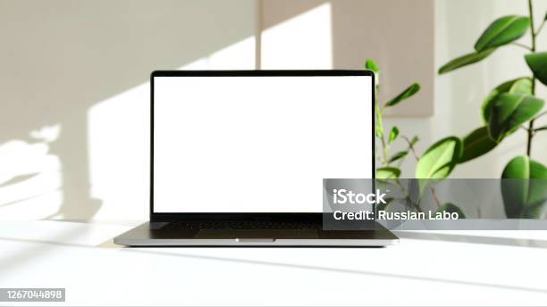 Photo Of A Laptop On A White Desk With A Green Plant Stock Photo - Download Image Now