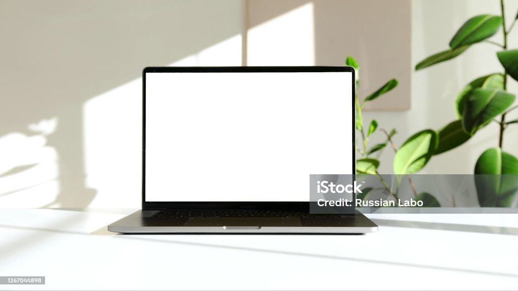 foto av en bärbar dator på ett vitt skrivbord med en grön anläggning - Royaltyfri Laptop Bildbanksbilder