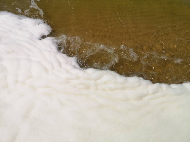 istock Yellow Sand beach and transparent wave closeup 1267044910
