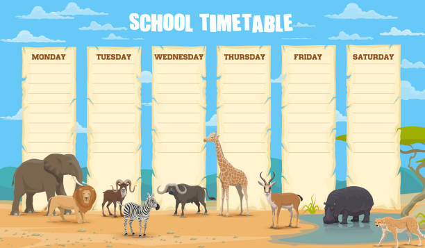 schulfahrplan mit afrikanischen tieren vektor - plant animal backgrounds nature stock-grafiken, -clipart, -cartoons und -symbole