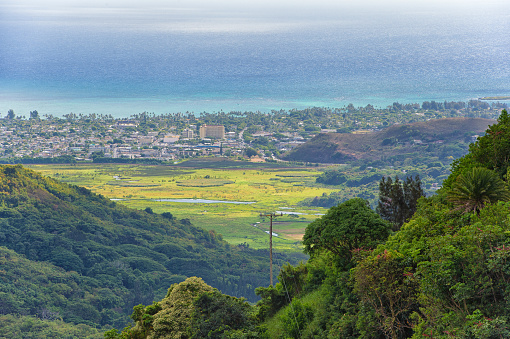 View from the Nuʻuanu Pali Lookout