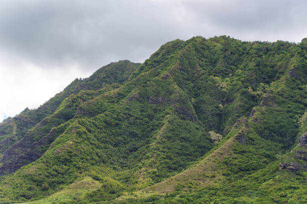 istock The landscape of Oahu Hawaii 1267046592