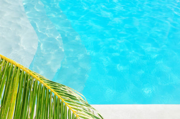 istock Palm leaves with transparent clear pool water background 1267049750