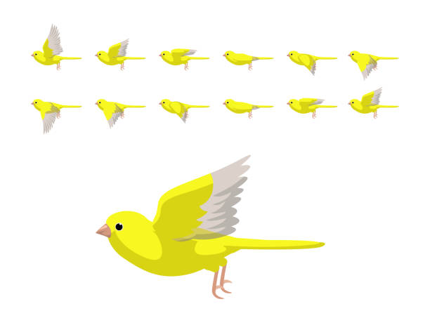 illustrazioni stock, clip art, cartoni animati e icone di tendenza di animazione canary yellow flying carino cartone animato illustrazione vettoriale - birds in flight