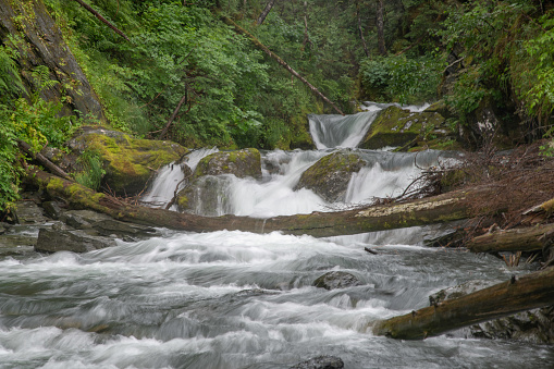 Waterfall in heavy rain through dense forest in Alaska