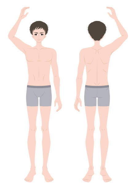 illustration eines mannes in unterwäsche mit erhobenem arm - dieting front view vertical lifestyles stock-grafiken, -clipart, -cartoons und -symbole