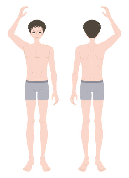 ilustrações de stock, clip art, desenhos animados e ícones de illustration of a man in underwear with one arm raised - dieting front view vertical lifestyles