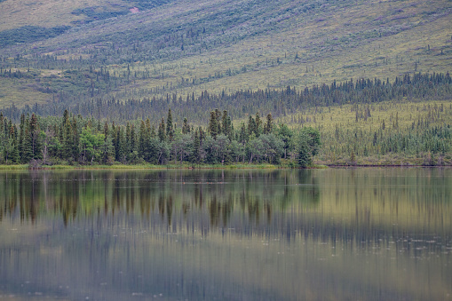 Mountain lake with reflections