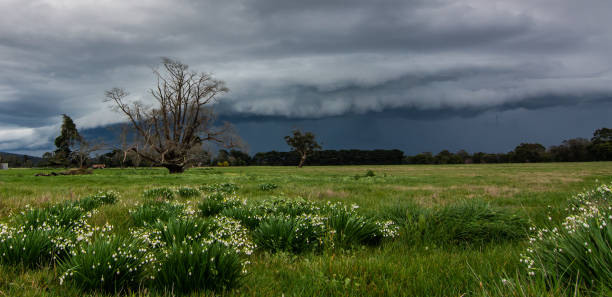 nube de tormenta sobre las gotas de nieve - arcus cloud fotografías e imágenes de stock