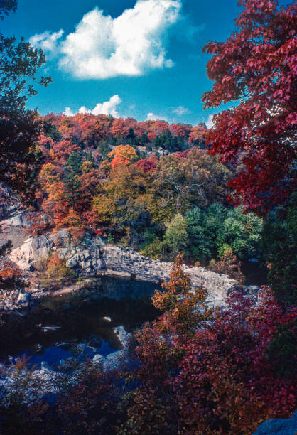 istock Silver Mines Rec Area - Dam Across St. Francis River Vertical - 1977 1267058686