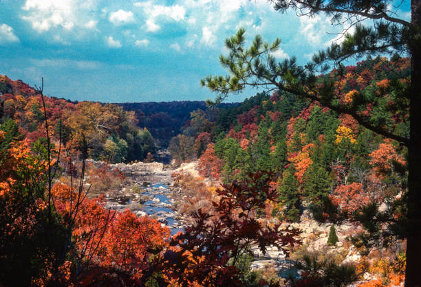 Silver Mines Rec Area - St. Francis River & Dam Horizontal - 1977